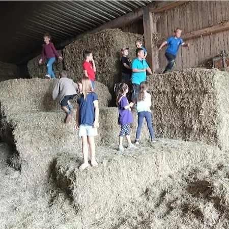 Broger Bergblickle Mit Pool