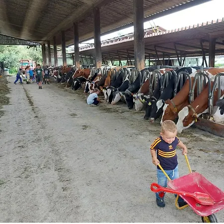 Broger Bergblickle Mit Pool *