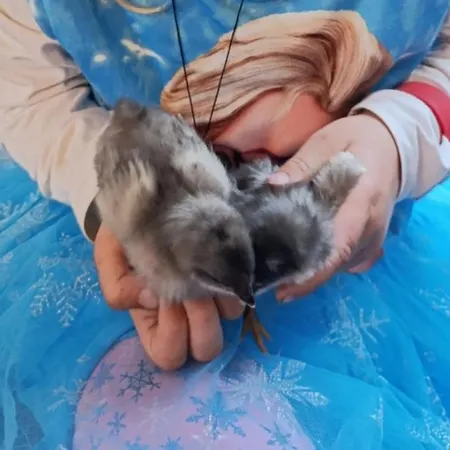 Broger Bergblickle Mit Pool Apartman *