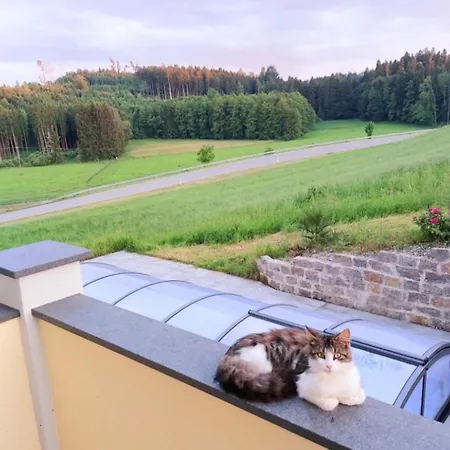 Broger Bergblickle Mit Pool * Neukirch (Tubingen)