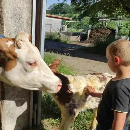 Apartman Broger Bergblickle Mit Pool