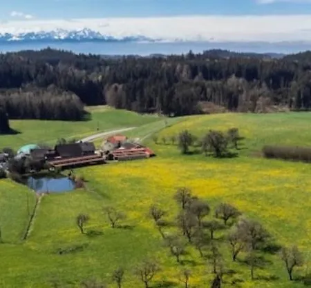 Broger Bergblickle Mit Pool Apartman Neukirch