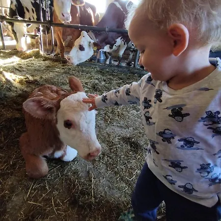 Broger Bergblickle Mit Pool Neukirch