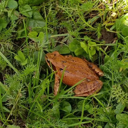 Apartman Broger Bergblickle Mit Pool *