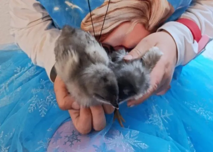 Broger Bergblickle Mit Pool Appartement *