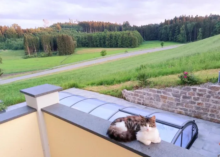 Broger Bergblickle Mit Pool * Neukirch (Tubingen)