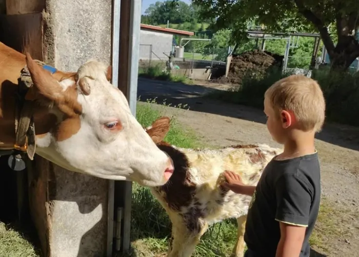 Appartement Broger Bergblickle Mit Pool