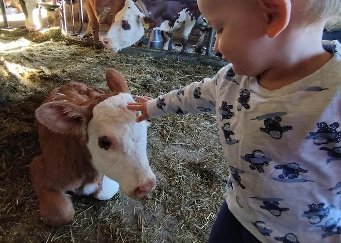 Broger Bergblickle Mit Pool Neukirch (Tubingen)